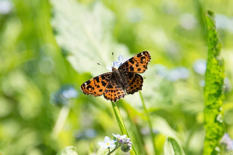 Anfahrtskarte RednerRaum